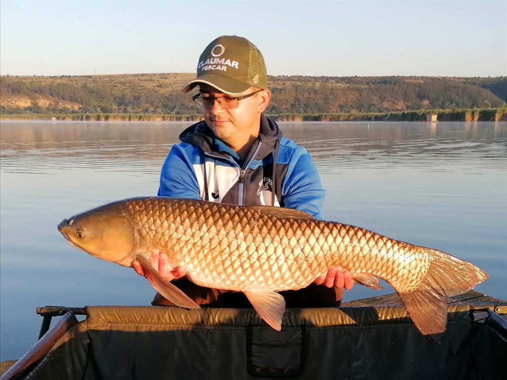 Ten prins la feeder de Ionut Constantinescu