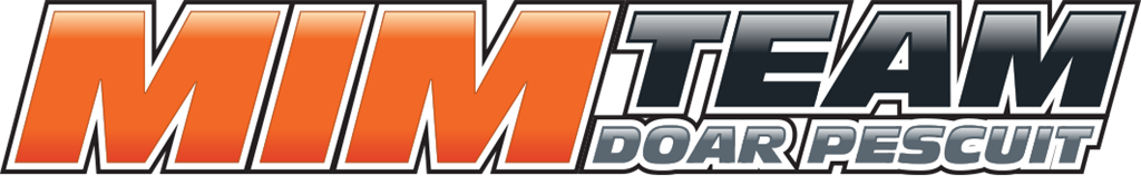 logo mimteam