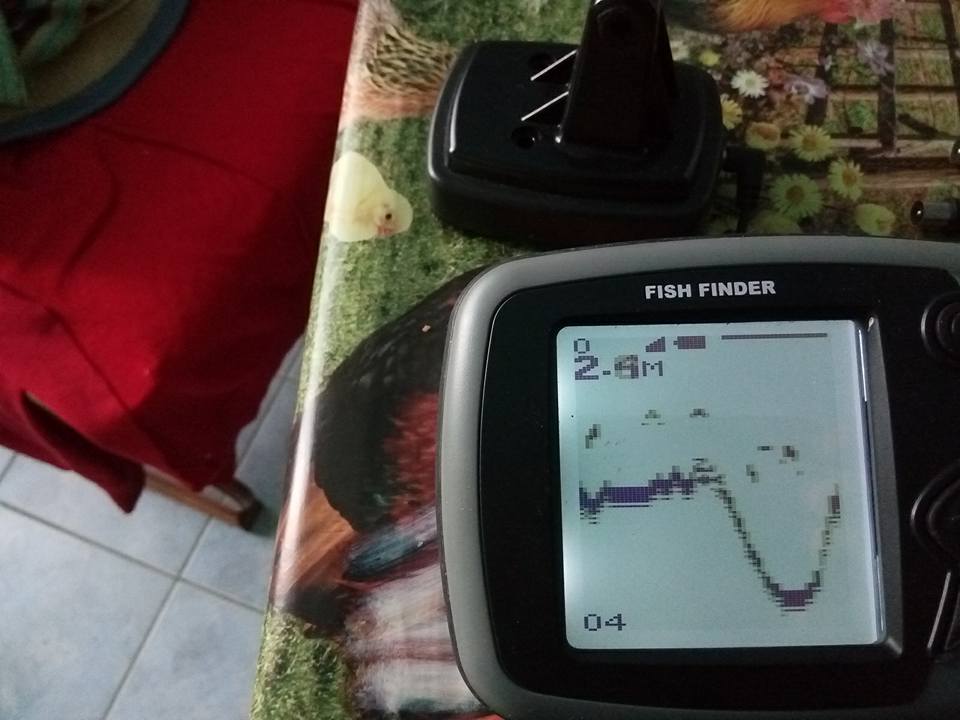 15319170_1316103981755235_2386872704550065761_n.jpg