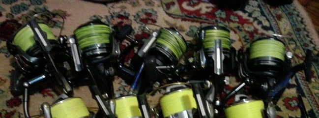 received_1184285168284274-1.jpg