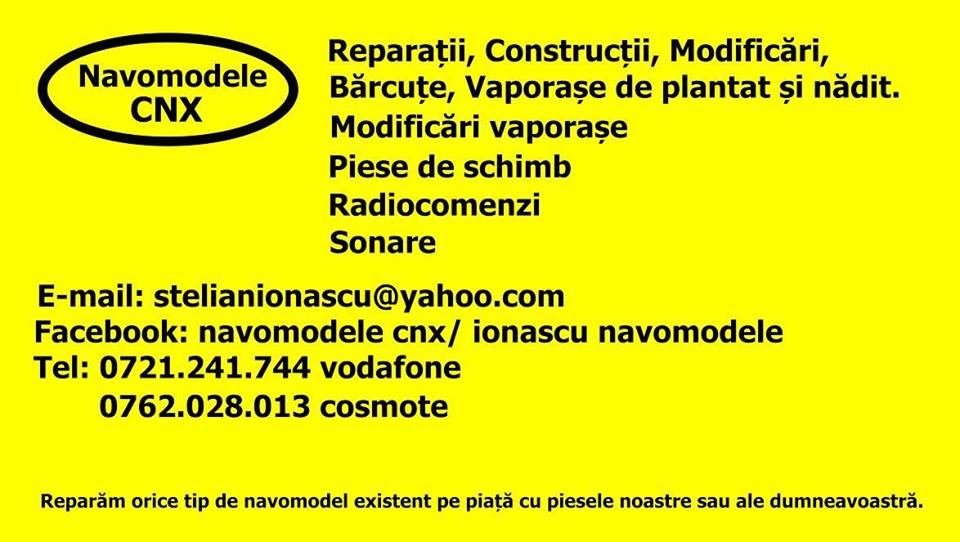 1482854_1146405375423501_3964509923366575868_n.jpg