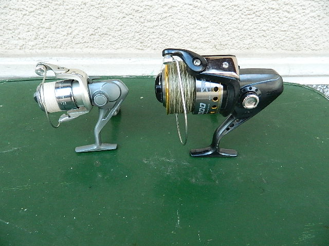 DSCN3108.JPG