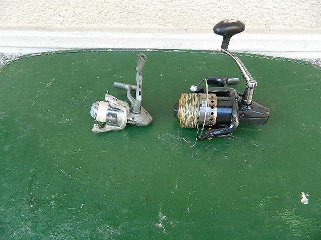 DSCN3109.JPG