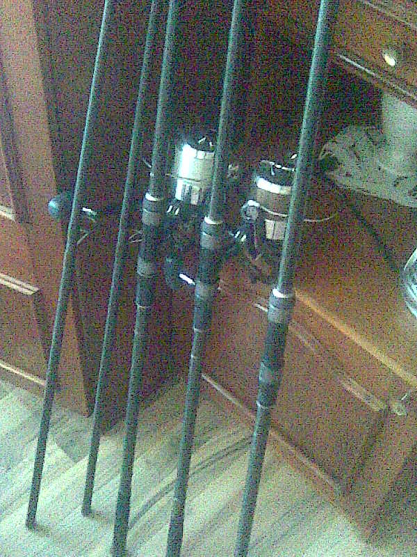 Picturemai 2011 318.jpg