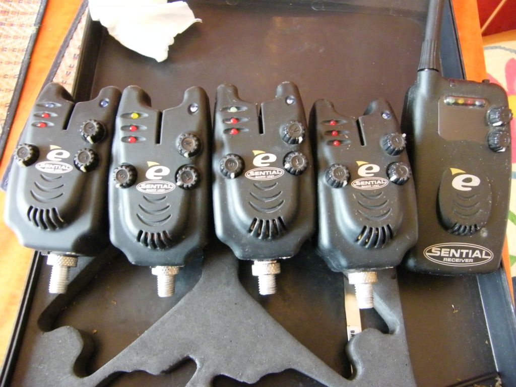 DSCF3928.JPG