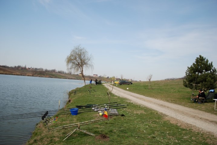 DSC_0418 (Large) (Small).JPG