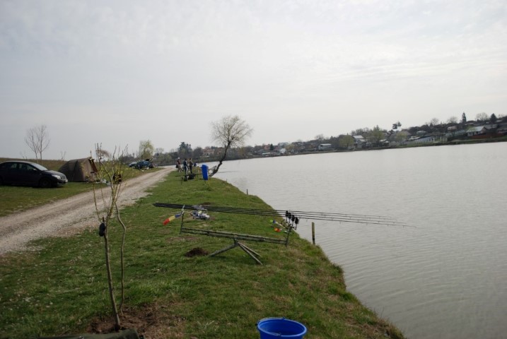 DSC_0424 (Large) (Small).JPG