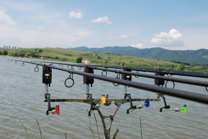 DSC_1373 (Large) (Small).JPG