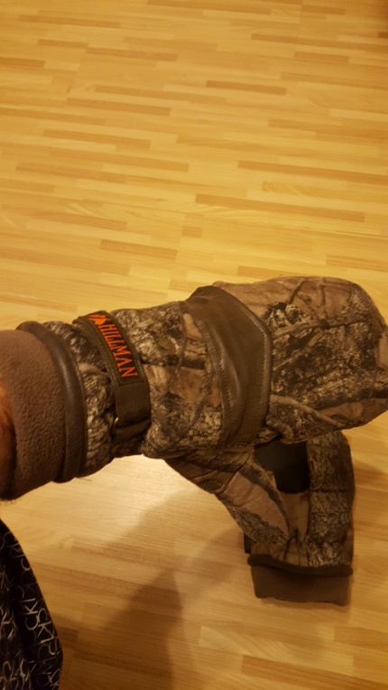 20170207_201113.jpg