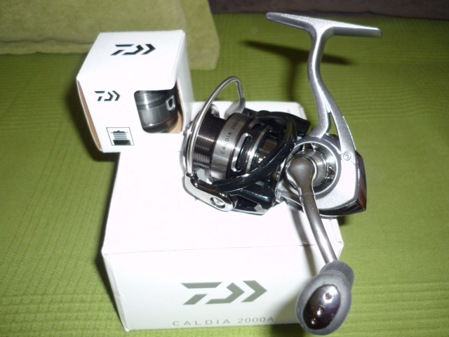 P1030424.JPG