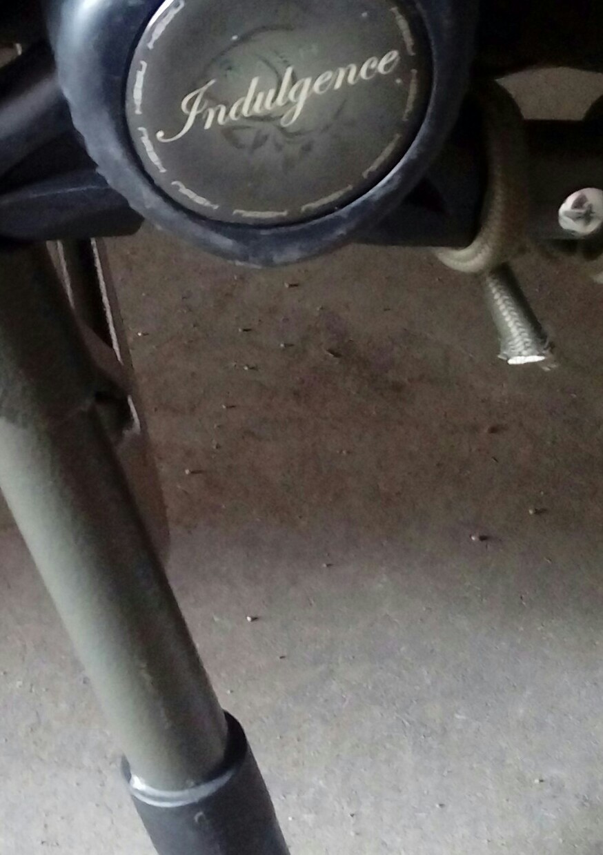 20170228_140750-1-1.jpg