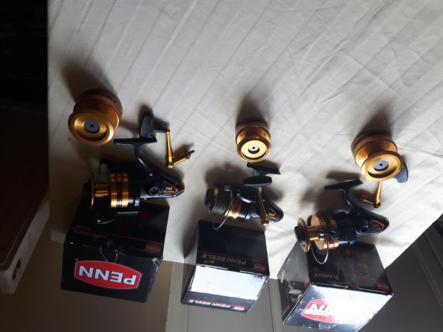 20170225_113011_640x480.jpg