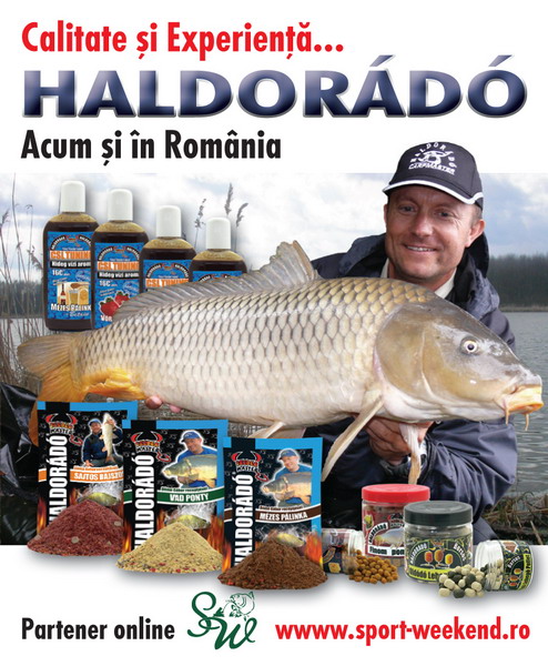 haldorado banner website partener online.jpg