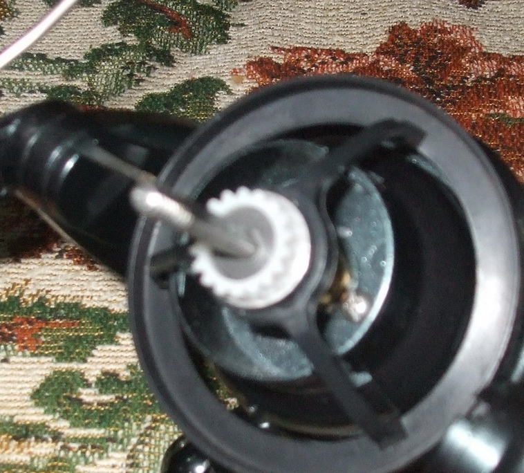 DSCF3146.JPG