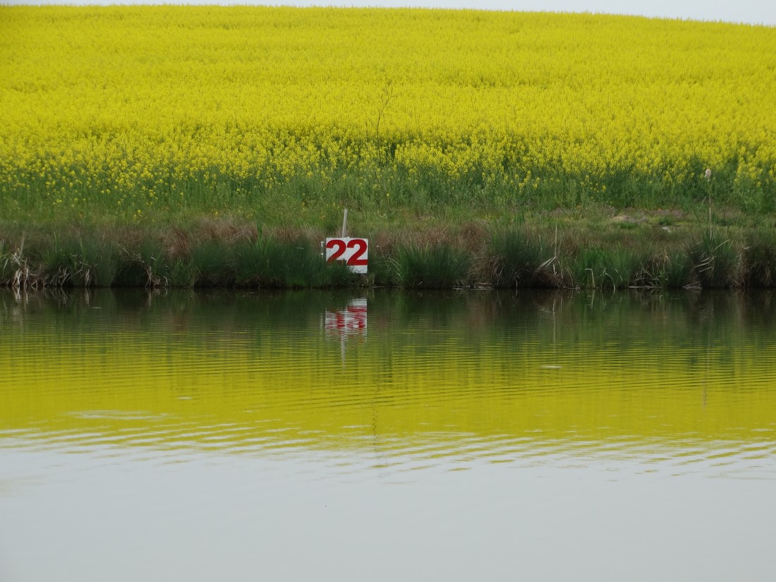 DSC00674 (Copy).JPG