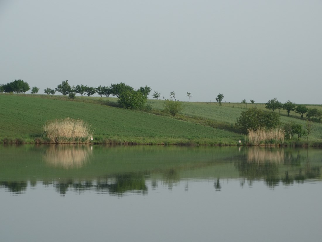 DSC01444 (Copy).JPG