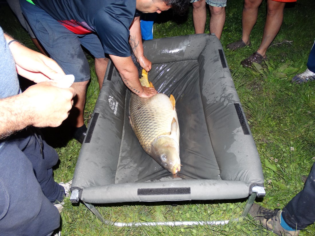 DSC01749 (Copy).JPG