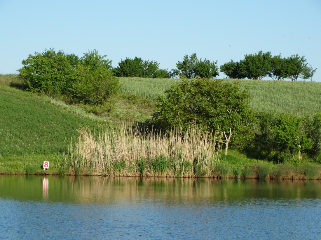 DSC01793 (Copy).JPG