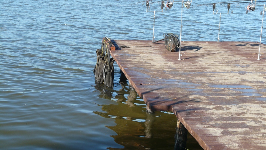 P1340155m.jpg