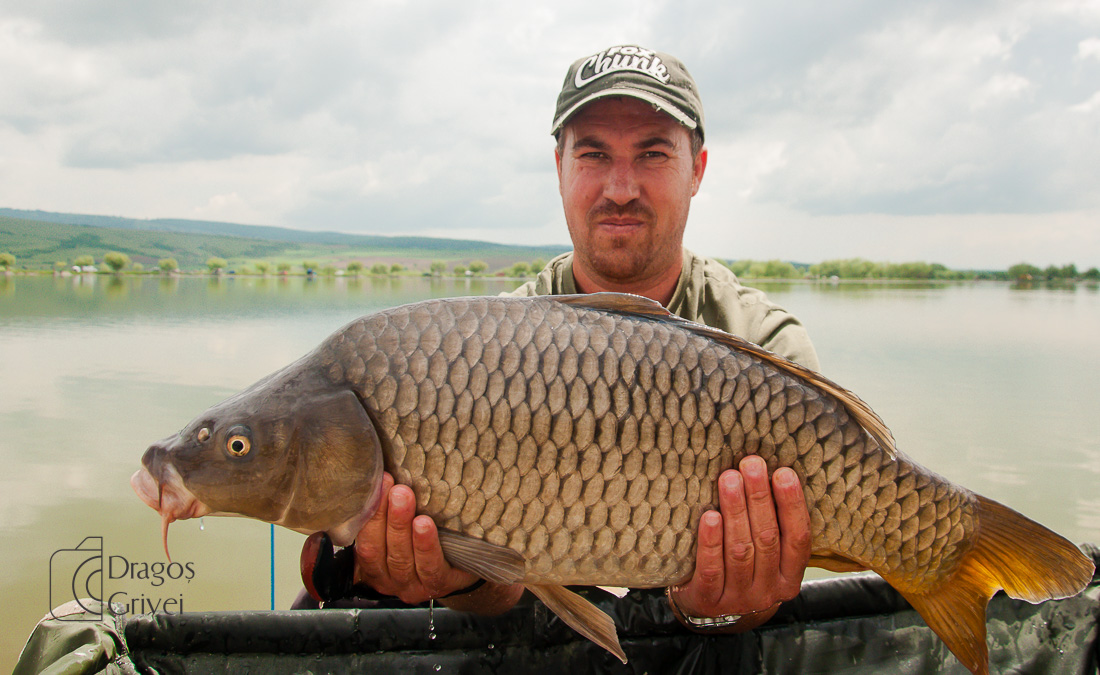 MC Boilies (110 of 132).jpg