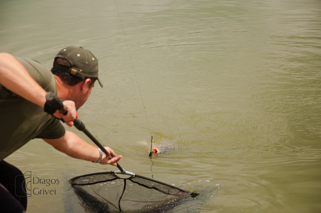 MC Boilies (109 of 132).jpg