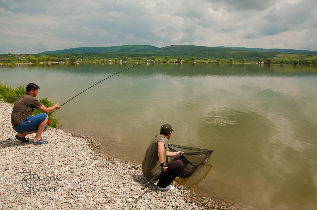 MC Boilies (108 of 132).jpg