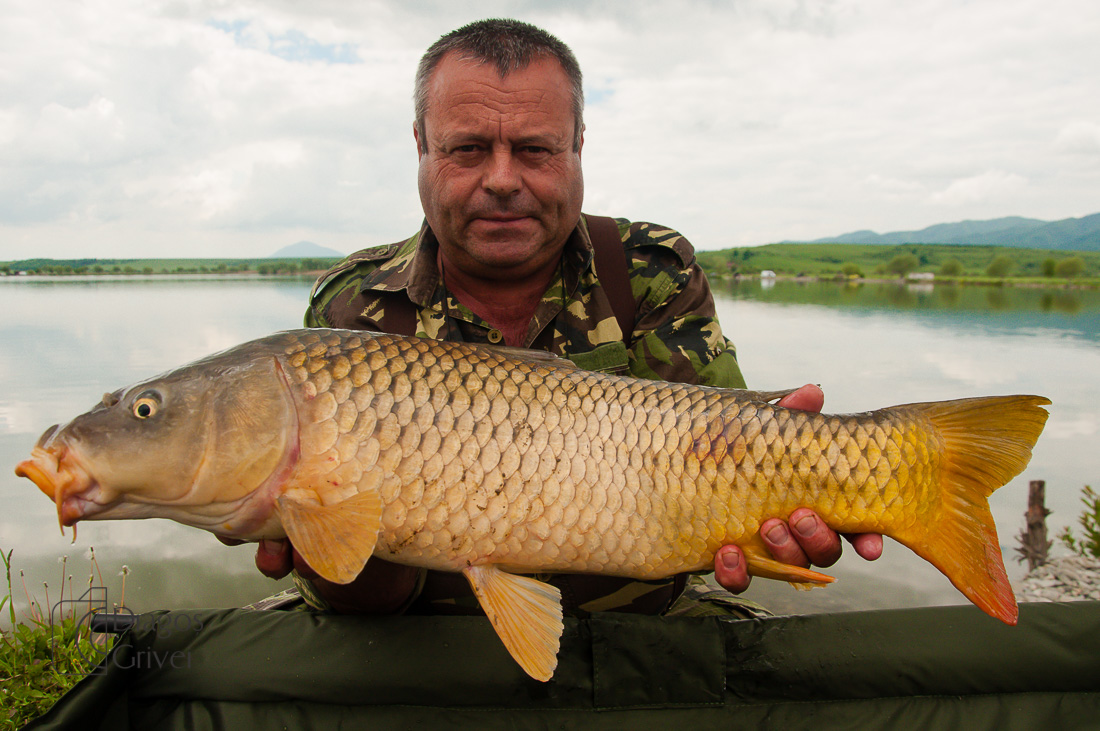 MC Boilies (120 of 132).jpg