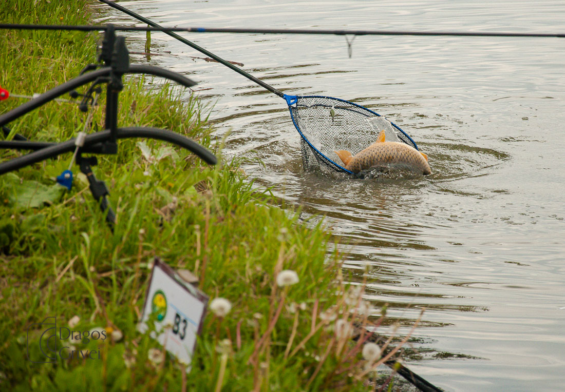 MC Boilies (118 of 132).jpg