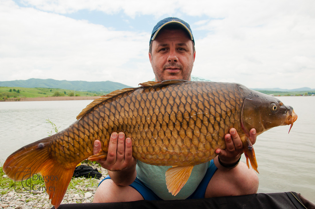 MC Boilies (130 of 132).jpg