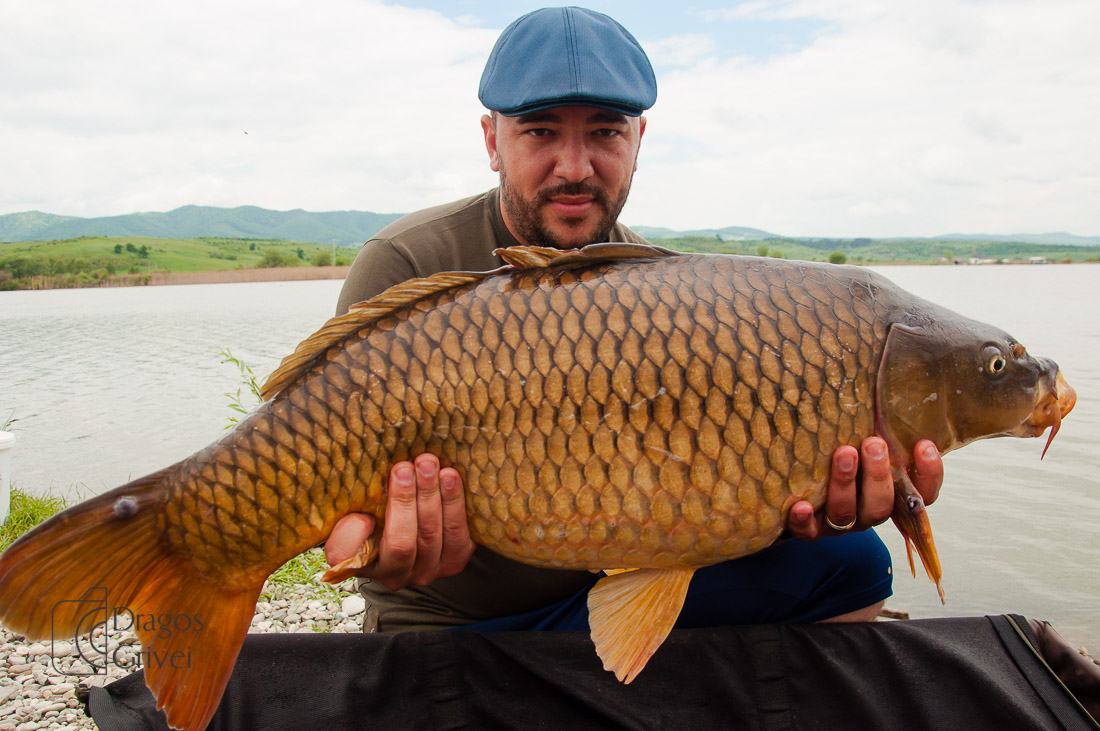 MC Boilies (128 of 132).jpg