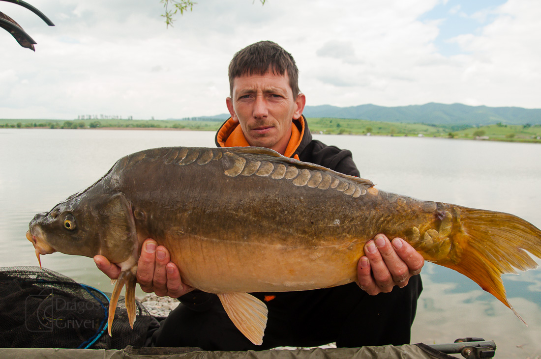 MC Boilies (122 of 132).jpg