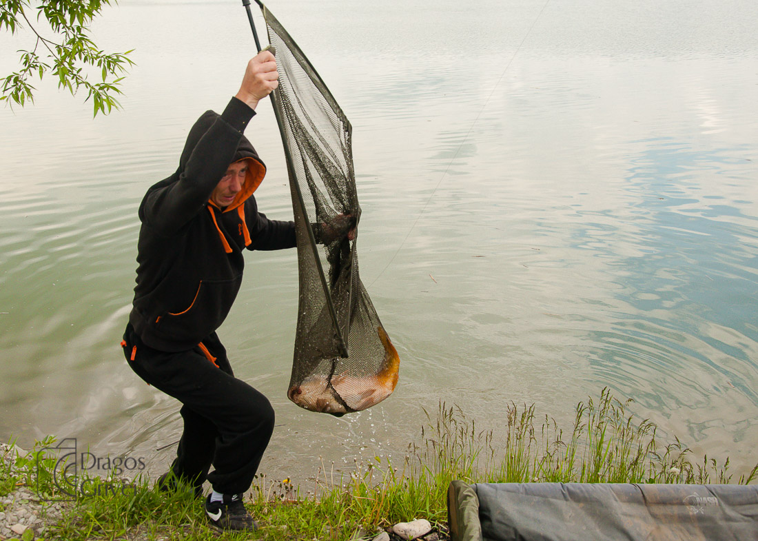 MC Boilies (121 of 132).jpg