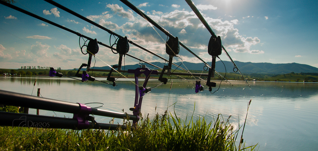 MC Boilies (8 of 51).jpg