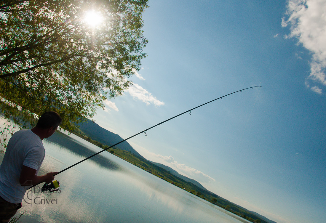 MC Boilies (7 of 51).jpg