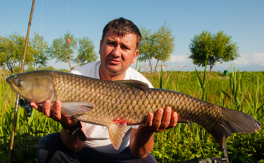 MC Boilies (4 of 51).jpg