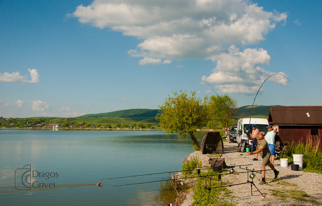 MC Boilies (1 of 51).jpg