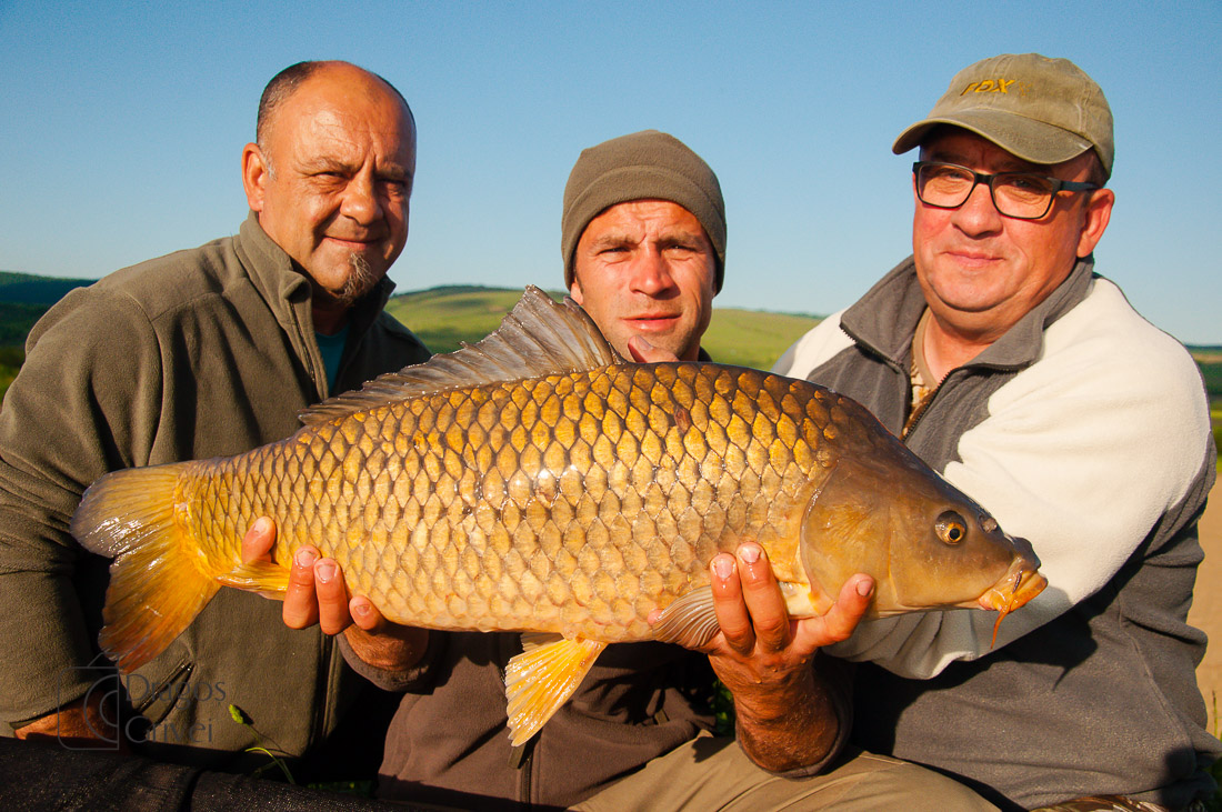 MC Boilies (17 of 51).jpg