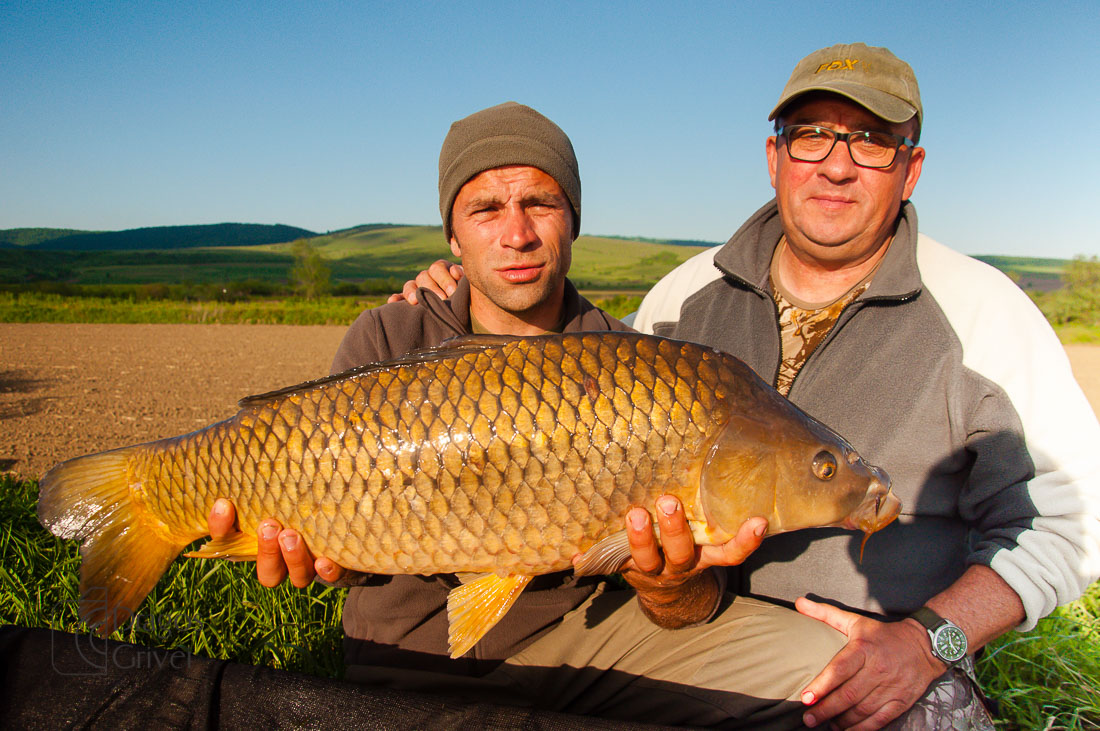 MC Boilies (16 of 51).jpg