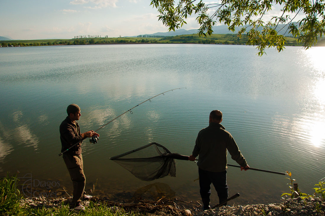 MC Boilies (13 of 51).jpg