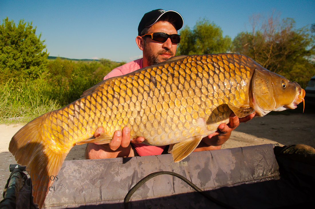 MC Boilies (10 of 51).jpg