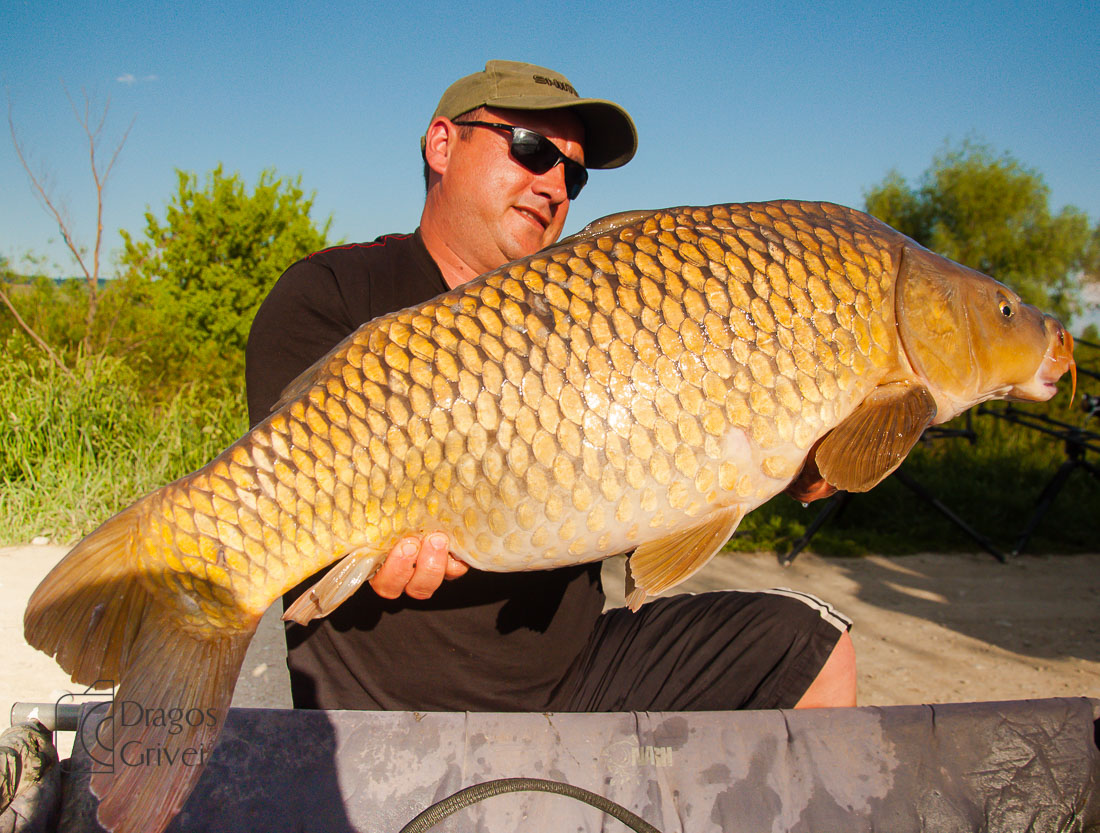 MC Boilies (9 of 51).jpg