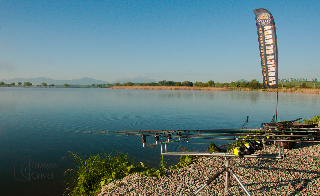 MC Boilies (36 of 51).jpg