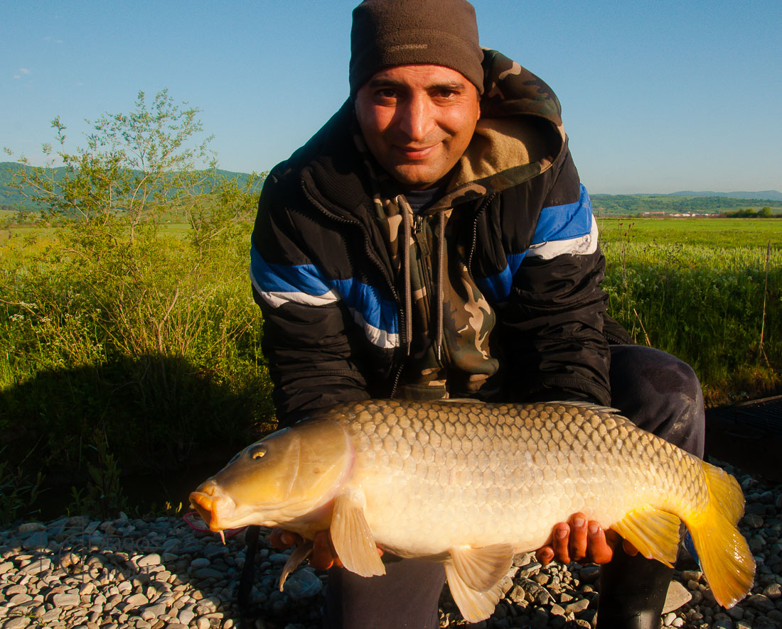 MC Boilies (35 of 51).jpg