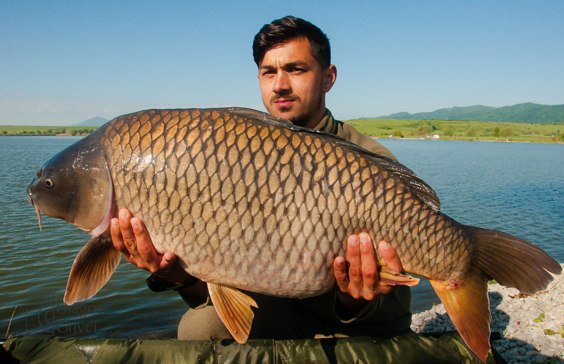 MC Boilies (51 of 51).jpg