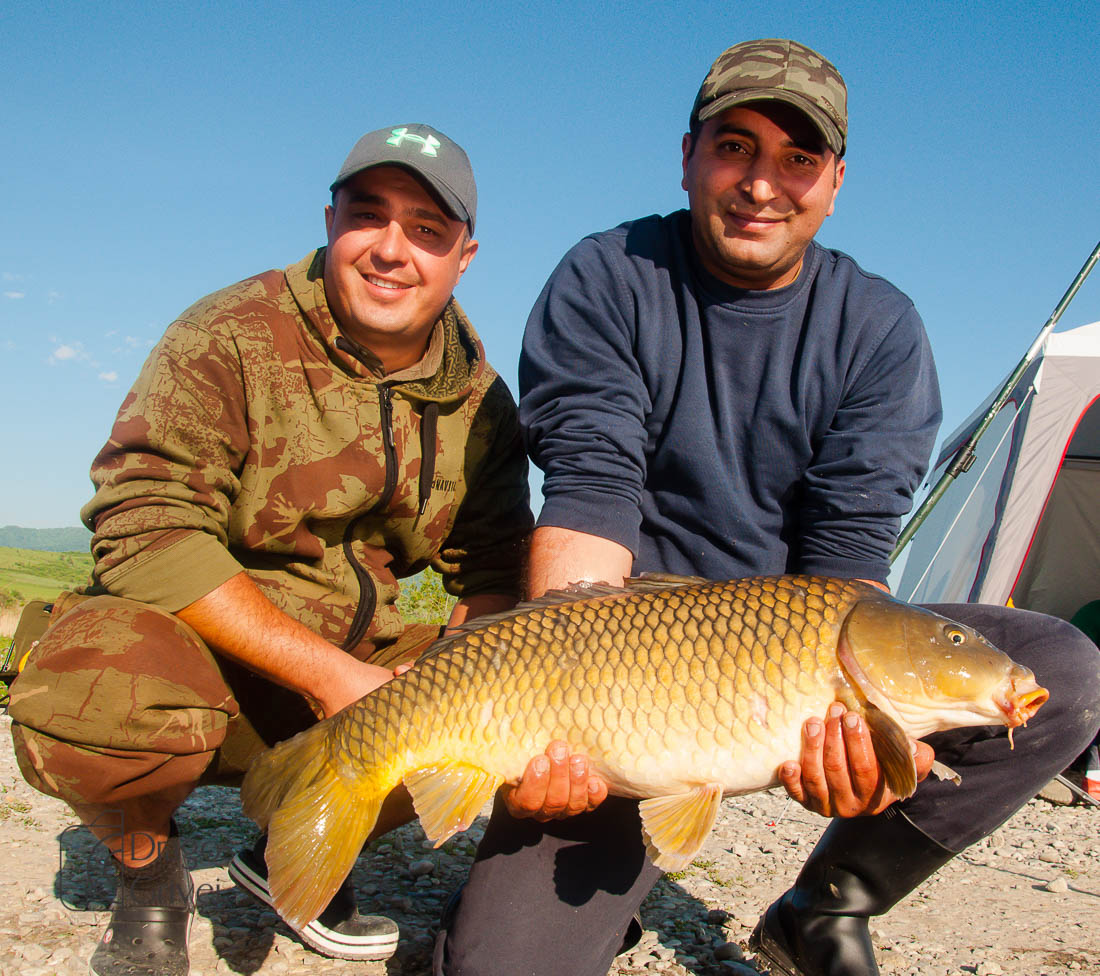 MC Boilies (45 of 51).jpg