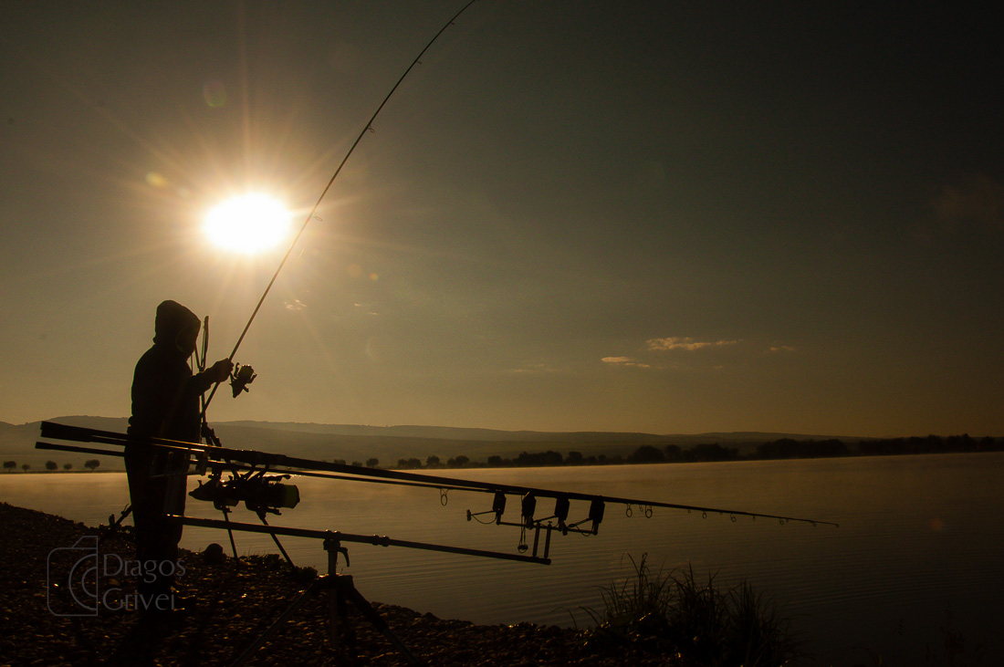 MC Boilies (42 of 51).jpg
