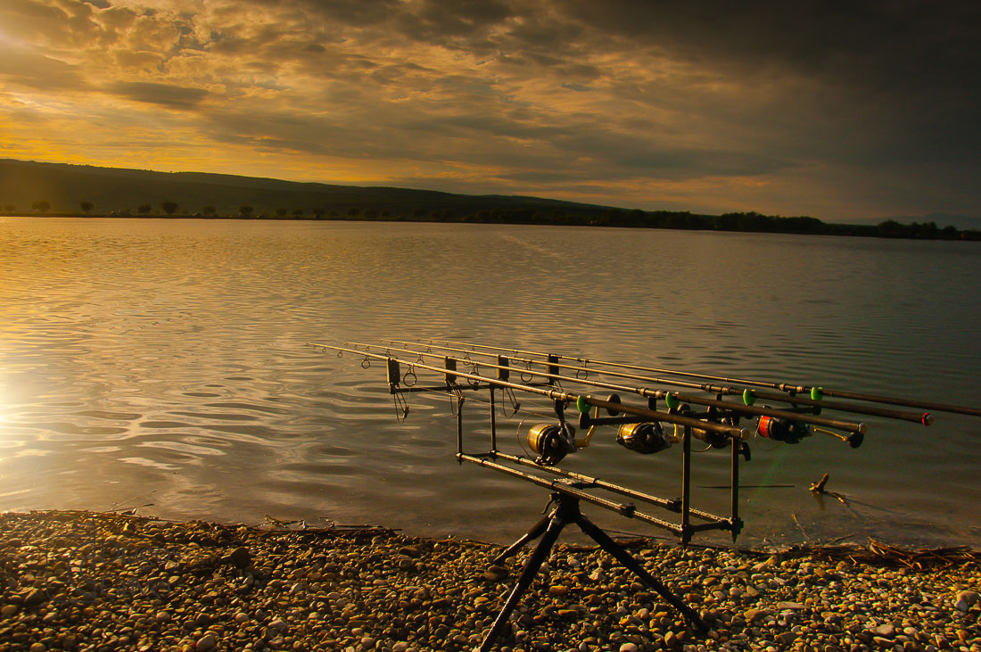 MC Boilies (38 of 57).jpg