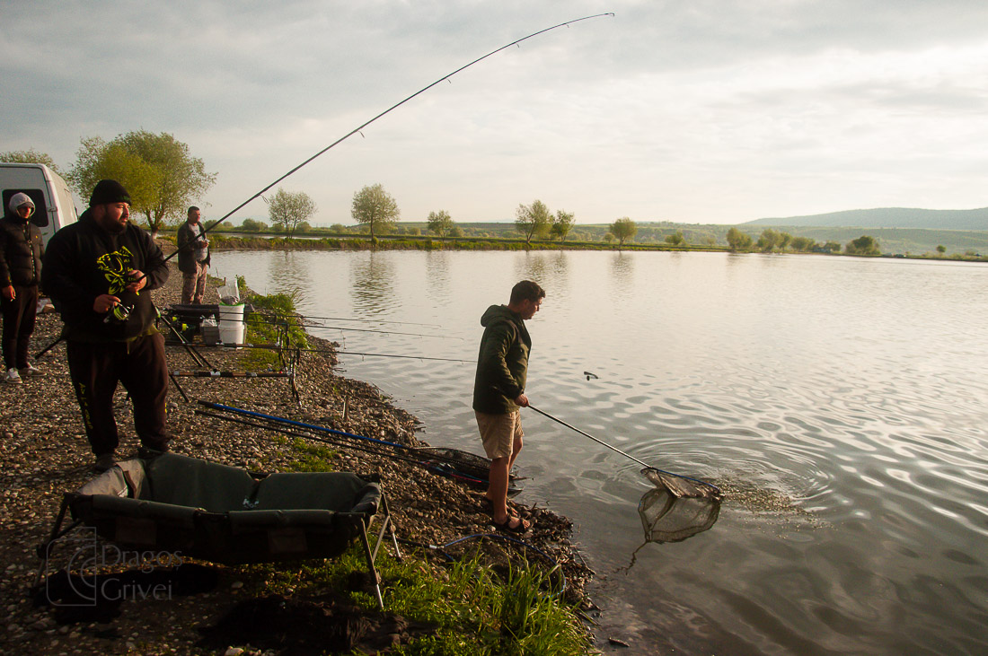 MC Boilies (37 of 57).jpg