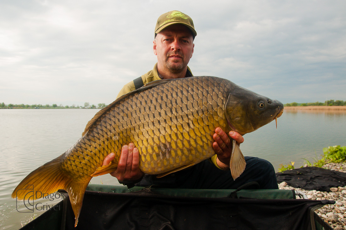 MC Boilies (48 of 57).jpg