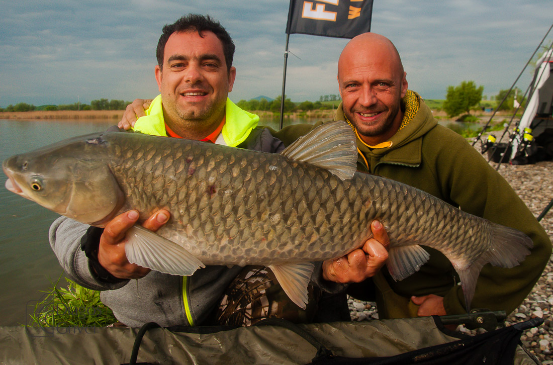MC Boilies (45 of 57).jpg